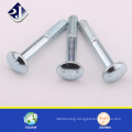 RoHS Fasteners Round Head Galvanized Grade 8.8 DIN603 Carriage Bolt